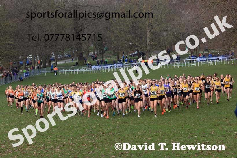 Senior Women, 2024 CAU Inter Counties Cross Country Champs., Wollaton Park, Nottingham. Photo: David T. Hewitson/Sports for All Pics